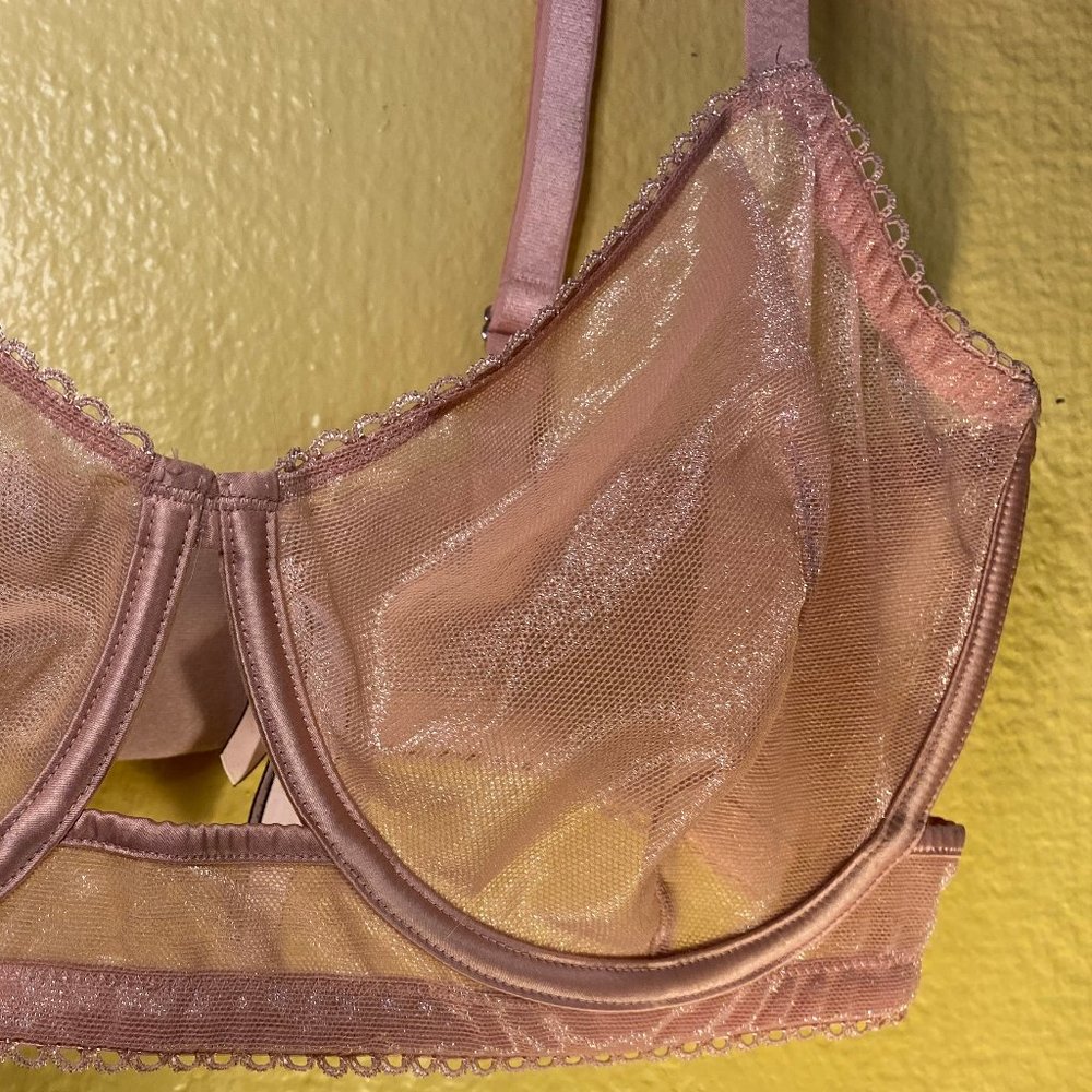 Victoria's Secret Demure Pink Mesh Cut Out Bra